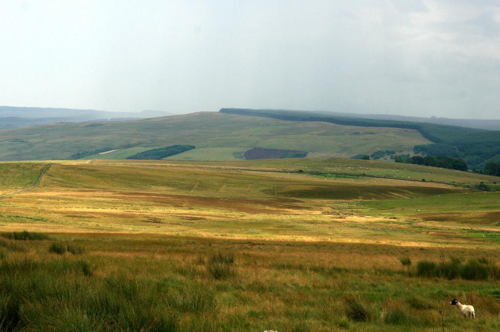 Hollybush Inn Greenhaugh المظهر الخارجي الصورة
